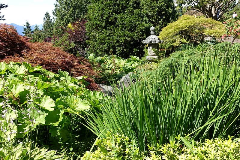 A dense garden with green and brown foliage; a stone tower peeks out in the background. (Queen Elizabeth Park, Vancouver)
