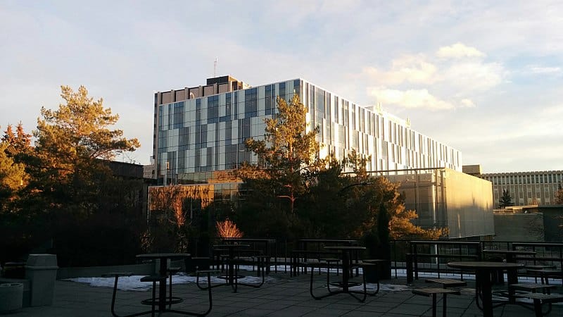 A modern glass-fronted university building rises up out of a group of leafy trees. (University of Calgary)