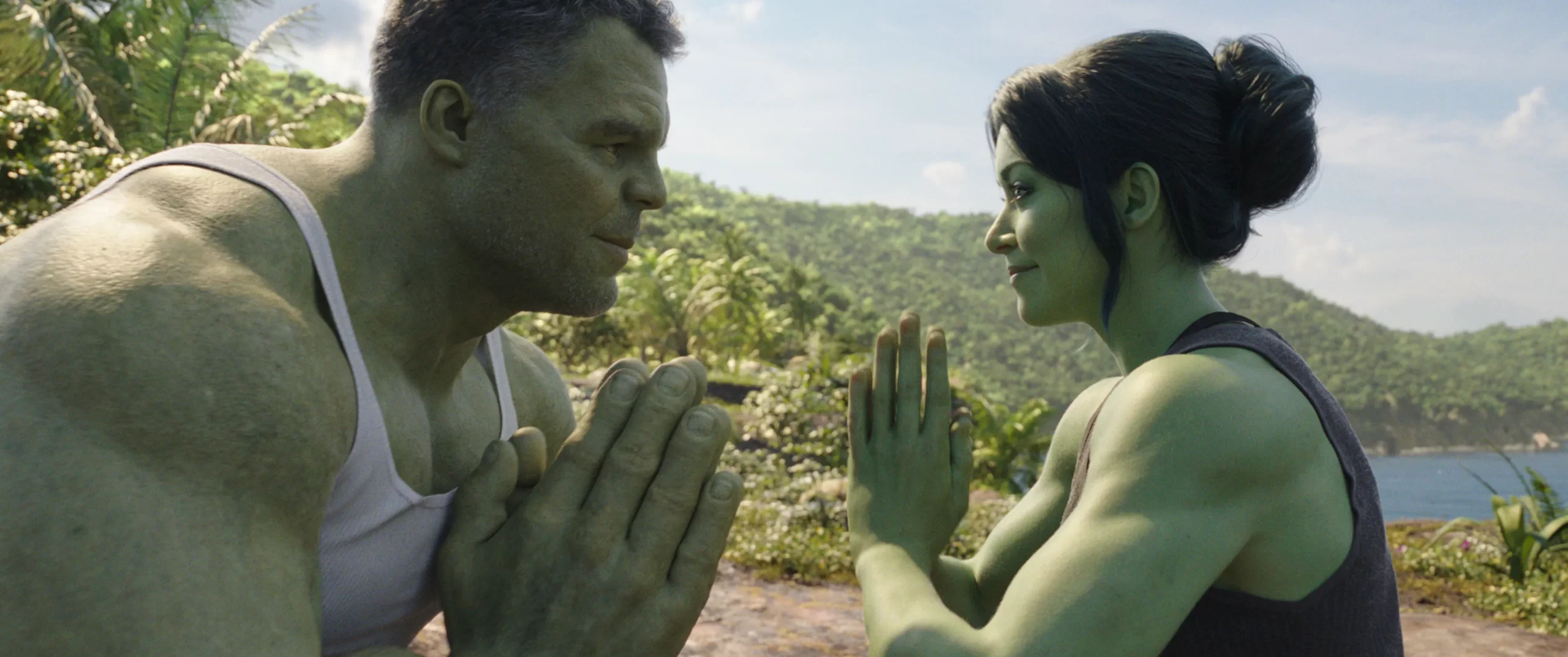 An image of She-Hulk and the Hulk