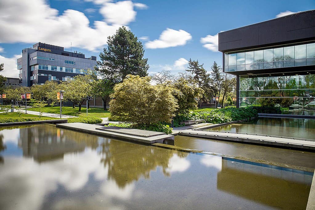 Still water in a manmade pond sits in front of short deciduous shrubs and modern academic buildings in <yoastmark class=