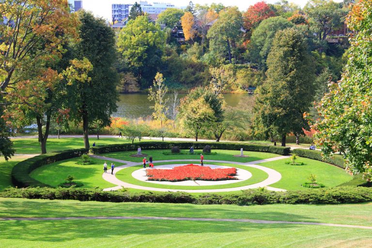 A photo of the bright red maple leaf display at High Park, a beautiful example of a popular Toronto green space in the early fall.
