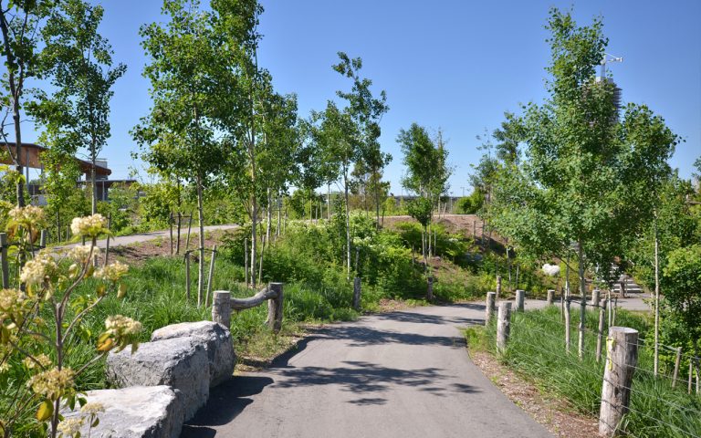 A photo of Corktown Common, Toronto, showing a path leading through a vibrant green space with blue sky overhead.