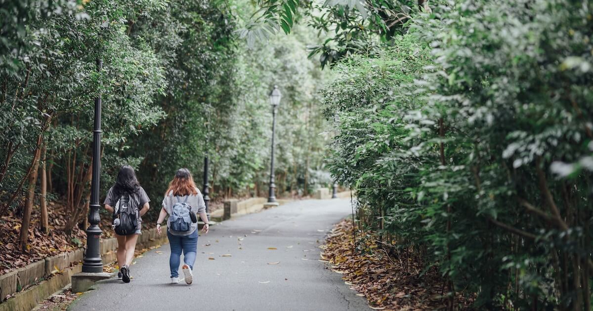 Two students walking down a path