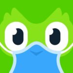 Duolingo app logo