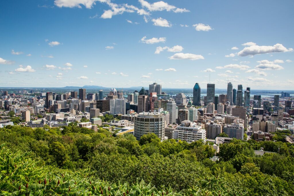An elevated view of the Montreal skyline: forest in the foreground, tall office buildings, with water behind them and a bright blue sky.