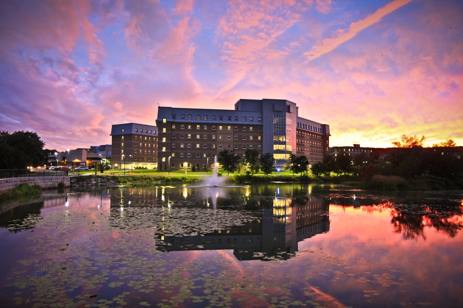 Partner School Spotlight Memorial University Of Newfoundland