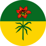 The Saskatchewan flag: a red lily on a circular field of yellow and green