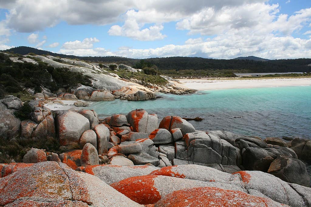 A rocky coastline with bright orange lichen growing on the grey rocks. Rolling, forested hills in the background. (Bay of Fires, Tasmania, Australia)