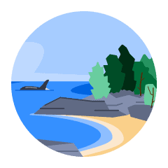 An illustrated coastline with smooth yellow sand, grey rocks, and evergreen trees. A whale back and fin is visible in the water offshore.