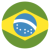 Brazilian flag set into a circle